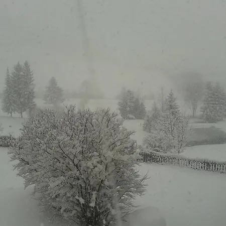 Inn Dalnig 3*