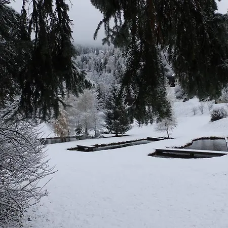 Han/Misafirhane Dalnig Bad Kleinkirchheim