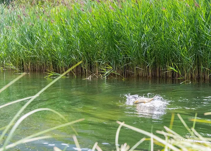 Dalnig Värdshus Bad Kleinkirchheim